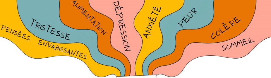 Consultation psychologique en ligne (ordinateur, téléphone, mail, adulte) : Lucie Heitzmann