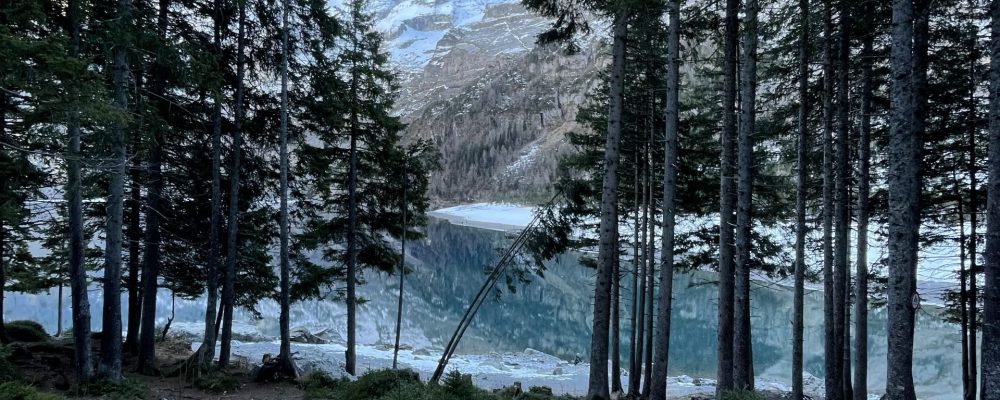 Tarifs, tarification, paiement, prix, consultation en ligne, psychologue, Lucie Heitzmann